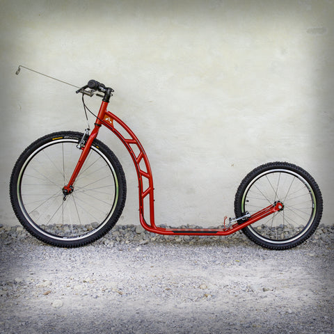 CANE V SCOOTER "DER LETZTE"