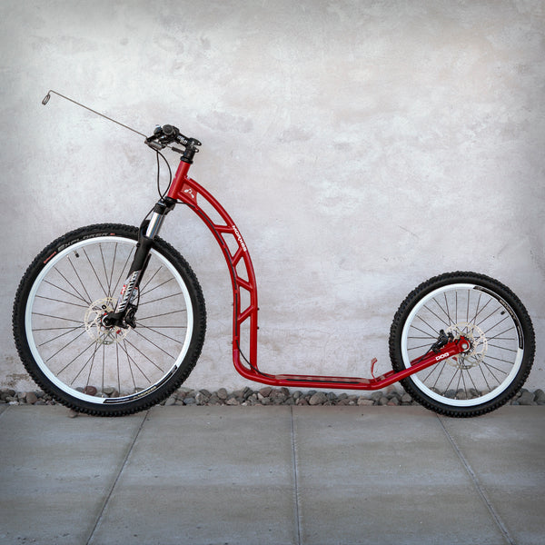 DOG R SCOOTER