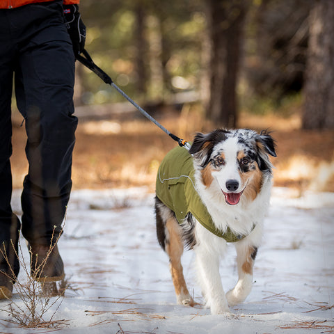 Winter Zubehör für Hunde von Ruffwear für jedes Wetter