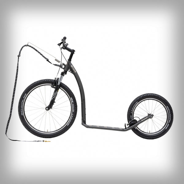 MUSHING FUN SCOOTER (G6)