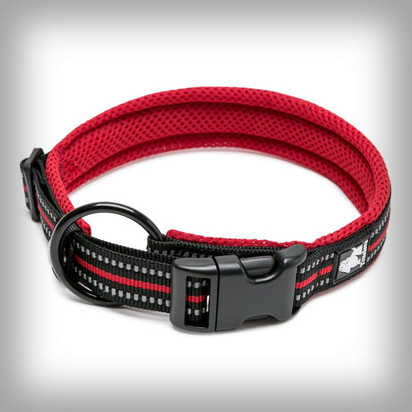HALSBAND KLICKSAFE